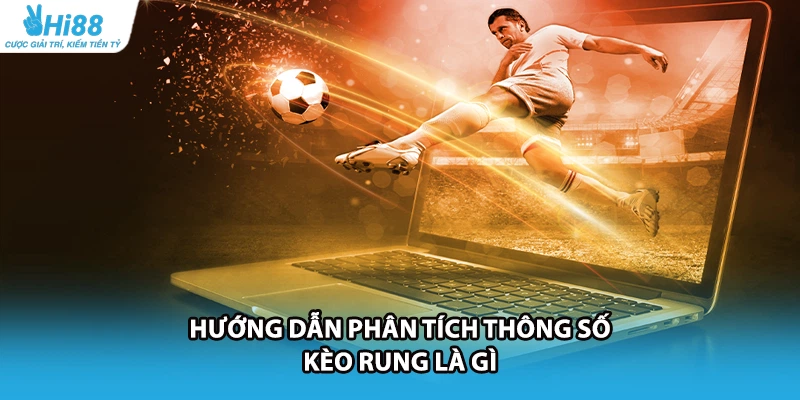 Hướng dẫn phân tích thông số kèo rung là gì